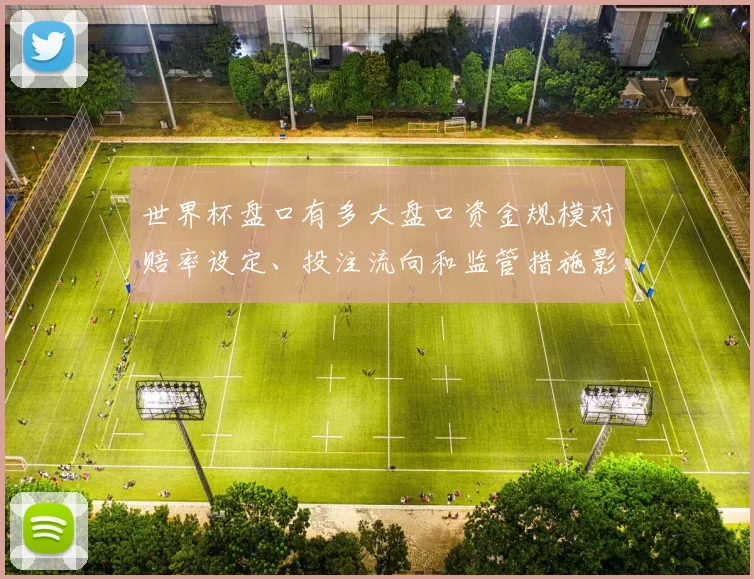 世界杯盘口有多大盘口资金规模对赔率设定、投注流向和监管措施影响分析