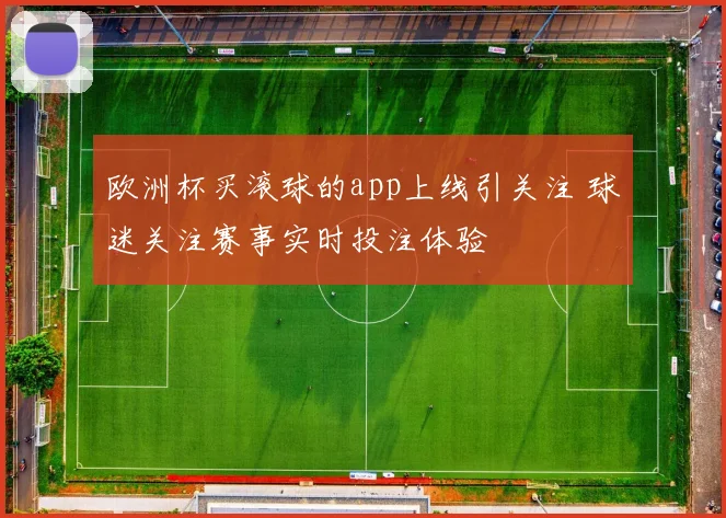 欧洲杯买滚球的app上线引关注 球迷关注赛事实时投注体验