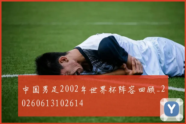 中国男足2002年世界杯阵容回顾_20260613102614