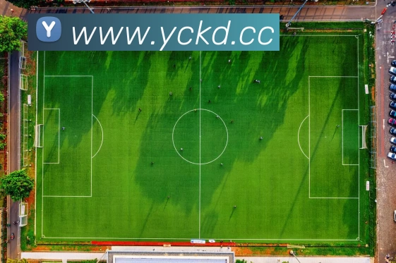 k1体育 - 十年品牌 值得信赖平台生态图